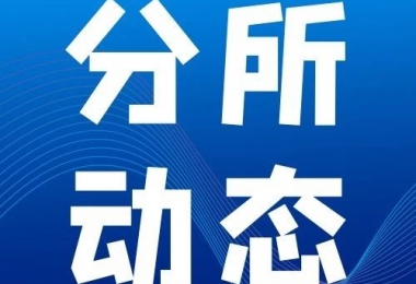 分所动态丨团队添能赋力 共促分所发展