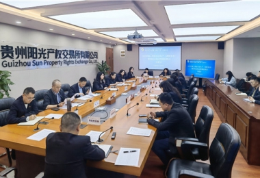 阳光产权交易所召开2025年第二季度安全生产（消防安全）暨落实全省安全生产电视电话会议精神专题会